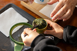 アウトドアとお茶008