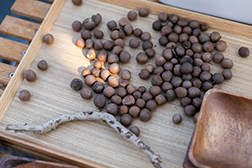 アウトドアとお茶038