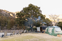 アウトドアとお茶046