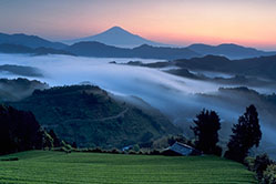 アウトドアとお茶144