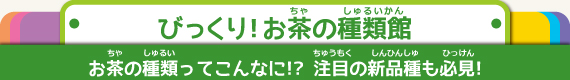公益社団法人　静岡県茶業会議所　びっくりお茶の種類館